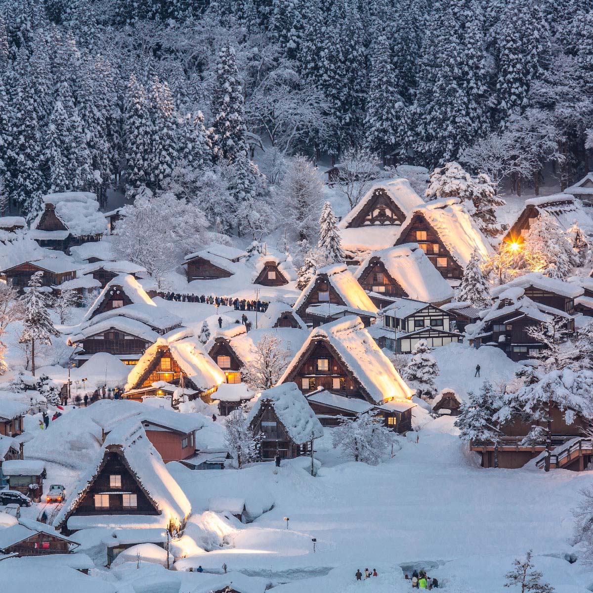 Shirakawa-go กิฟุ สถานที่ท่องเที่ยวประเทศญี่ปุ่น