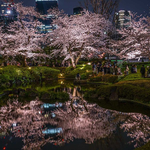 สวนโมริเป็นสวนโอเอซิสขนาดเล็ก เป็นสถานที่เที่ยวโตเกียวสำหรับสูดอากาศบริสุทธิ์
