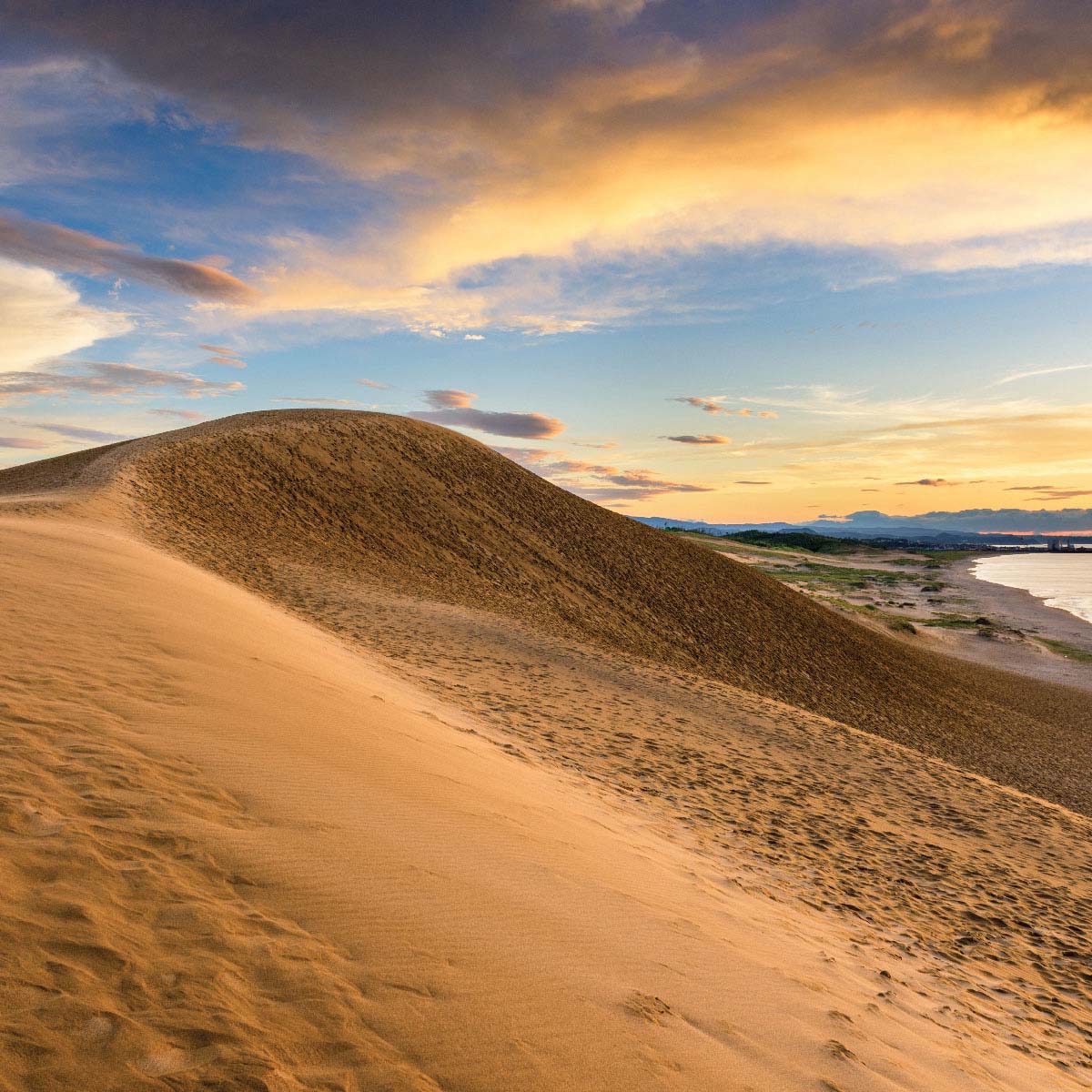 Tottori Sand Dunes ทตโตริ สถานที่ท่องเที่ยวประเทศญี่ปุ่น