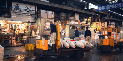 ตลาดปลาญี่ปุ่นTsukiji เป็นแหล่งอาหารทะเลสด กลางโตเกียว
