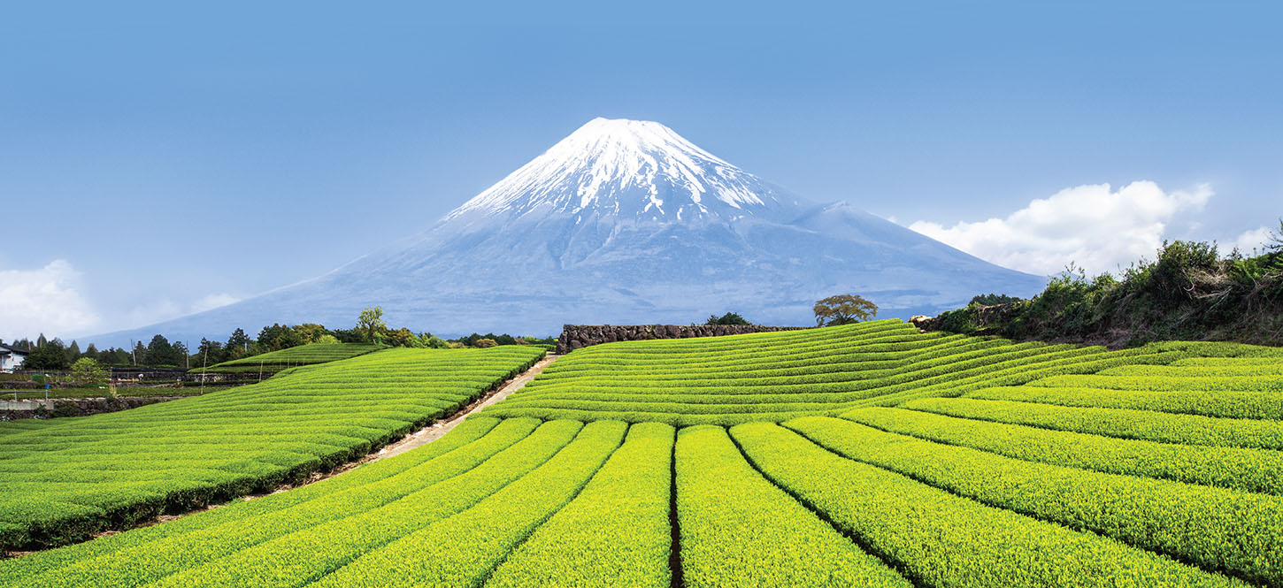20 สถานที่ท่องเที่ยวประเทศญี่ปุ่น ที่อยากให้คุณไปเยือน