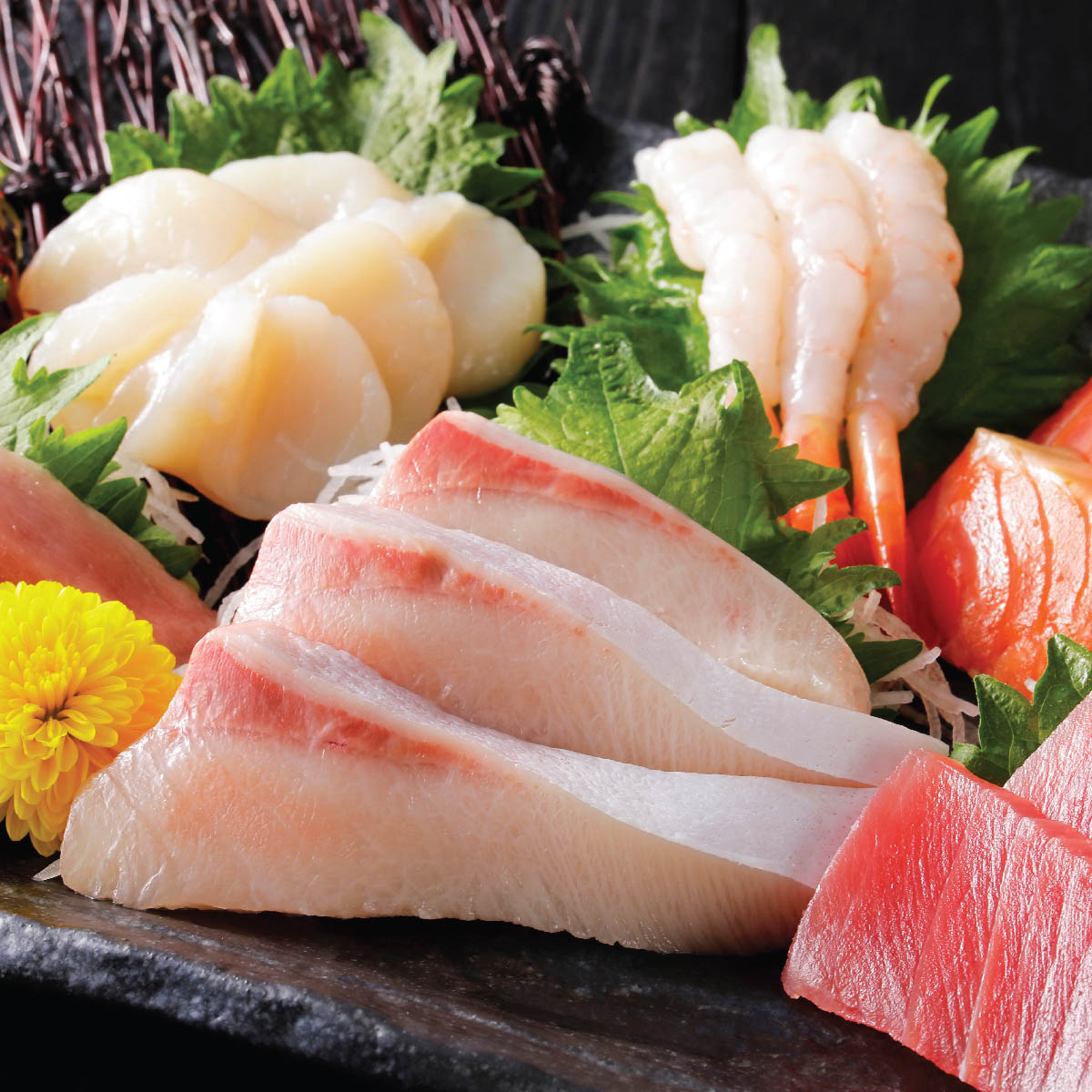 ซาชิมิ Sashimi อาหารญี่ปุ่นแบบปราณีตยอดนิยม