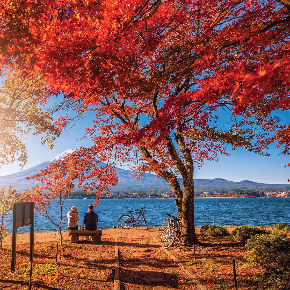 ใบไม้เปลี่ยนสีญี่ปุ่น ทะเลสาบคาวากูจิโกะ