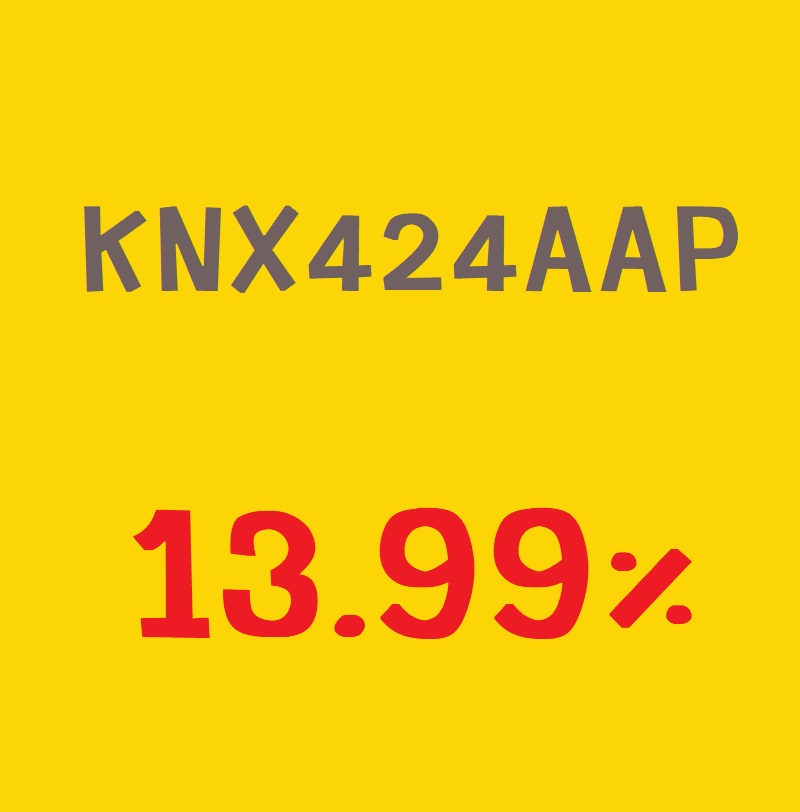 สินเชื่อ กรุงศรี ดรีมโลน
