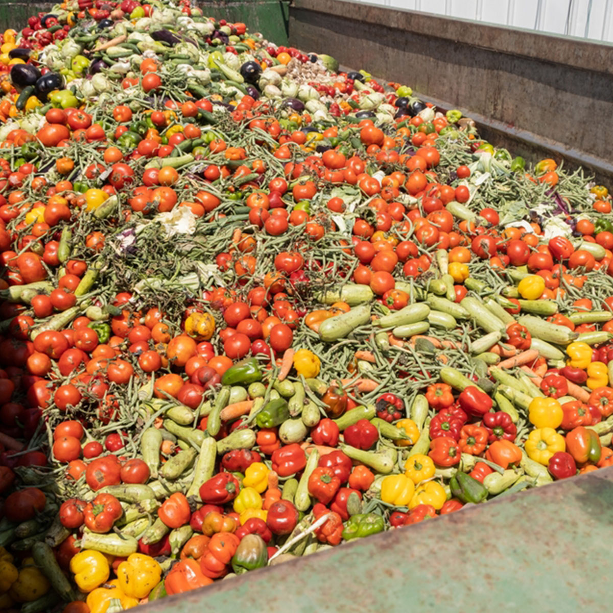 ขยะอาหาร (Food waste) และวิธีการแก้ปัญหา