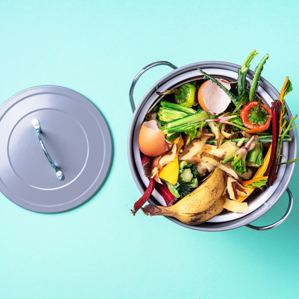 การแยกประเภท food waste