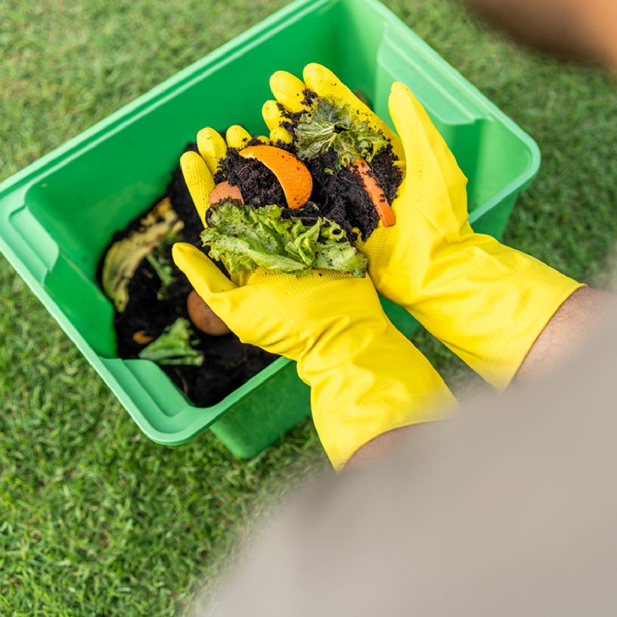 การนำ food waste ไปใช้ให้เกิดประโยชน์
