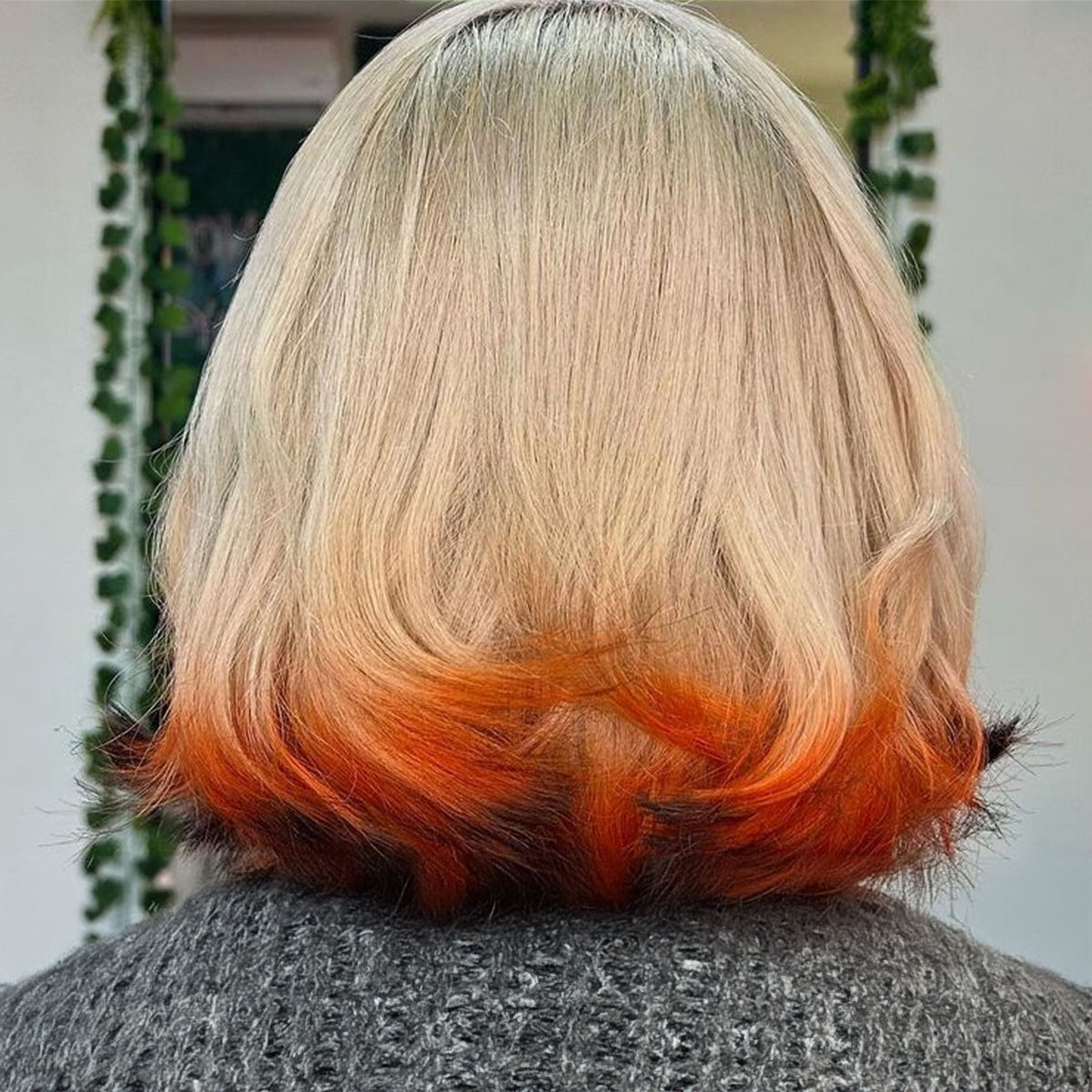 สีผมหางจิ้งจอกสวยๆ ช่วยให้หน้าสว่าง