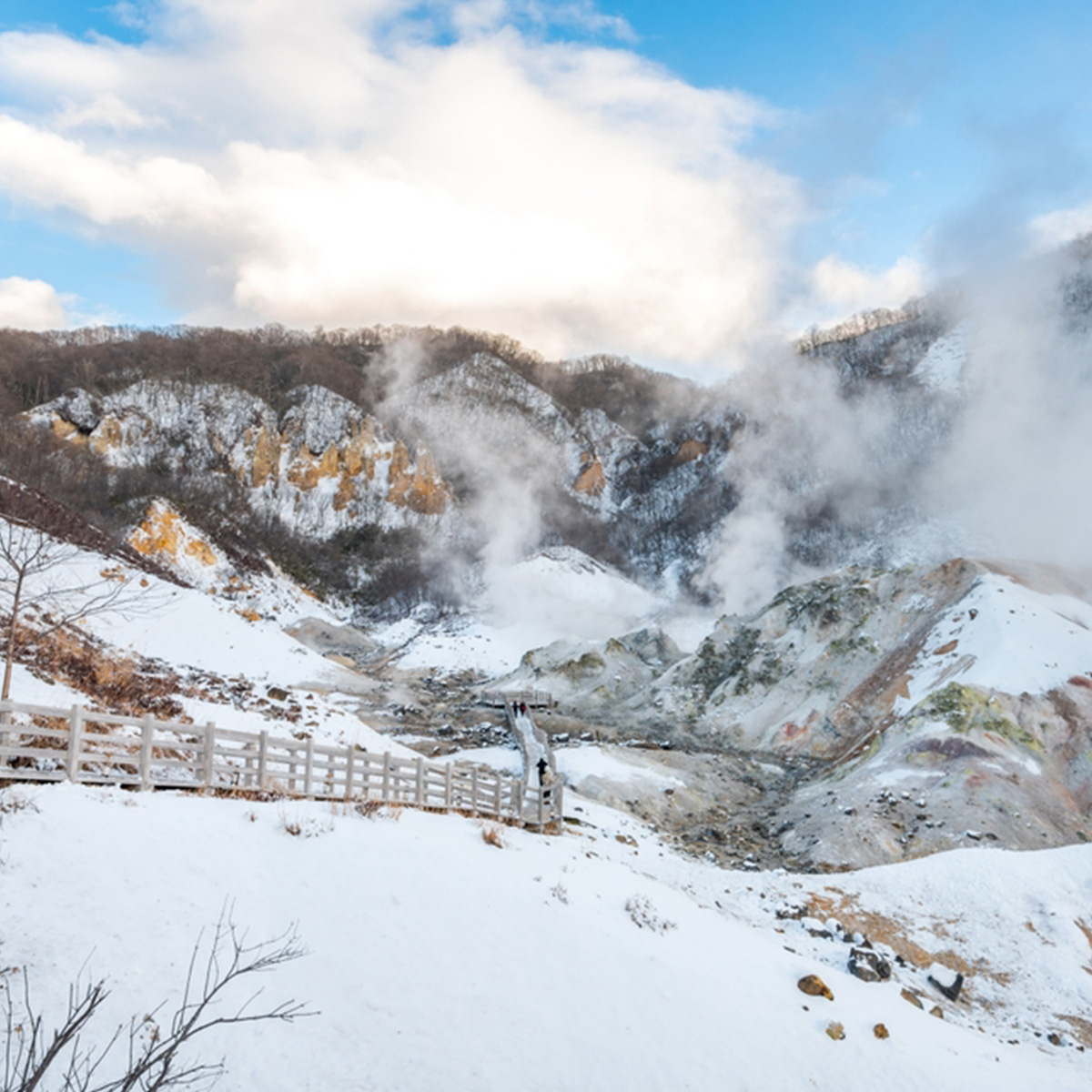 ที่เที่ยวหิมะญี่ปุ่น Jigokudani