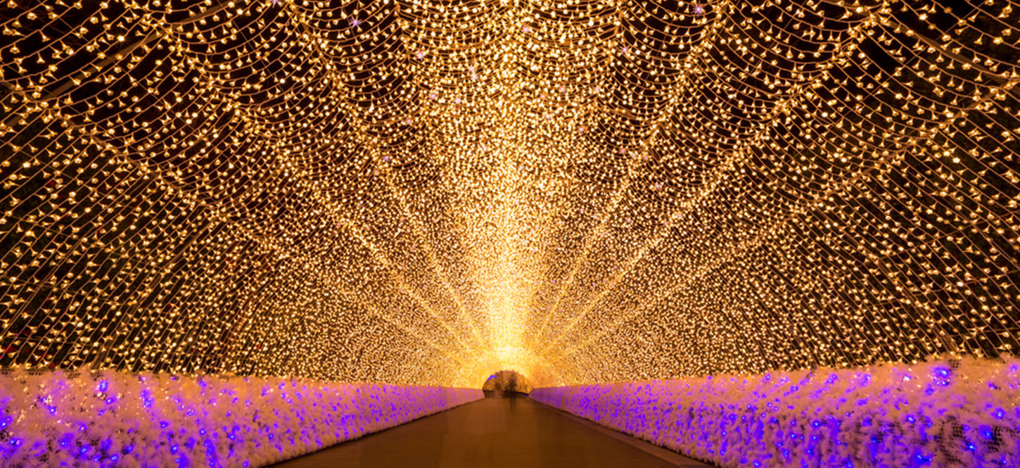 ที่เที่ยวหิมะญี่ปุ่น Nabana No Sato