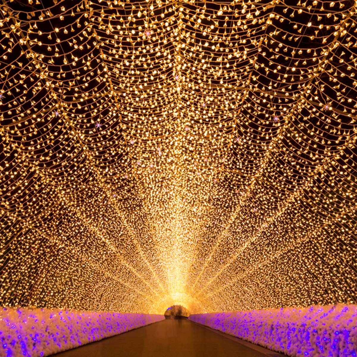 ที่เที่ยวหิมะญี่ปุ่น Nabana No Sato